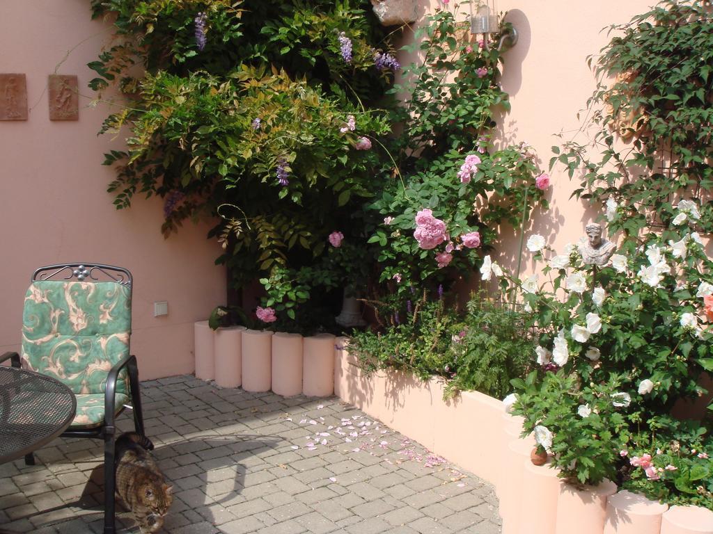 Haus am Markt Königstein in der Oberpfalz Buitenkant foto