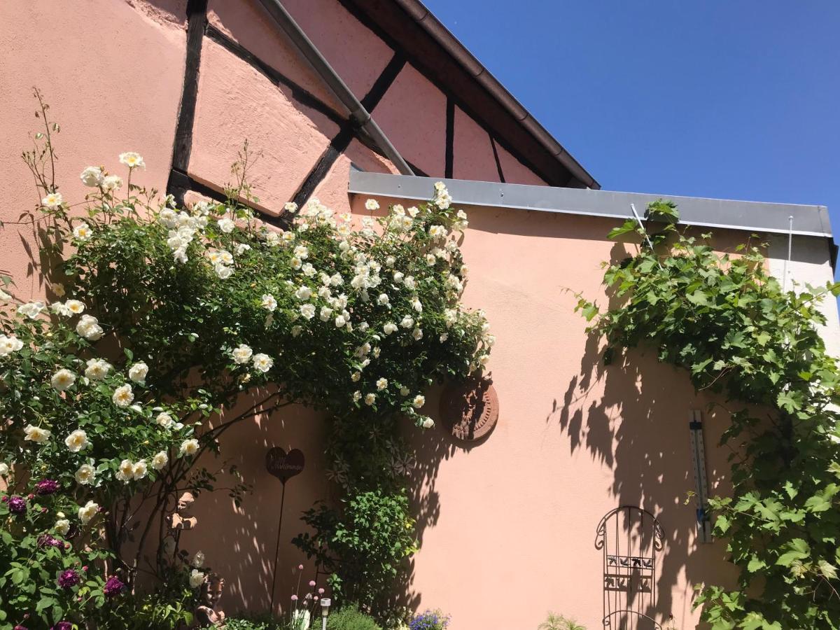 Haus am Markt Königstein in der Oberpfalz Buitenkant foto